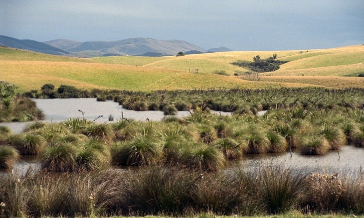 Catlins, Southland, South Island