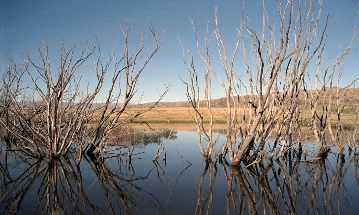 Lake near Alexandra, Otago, South Island