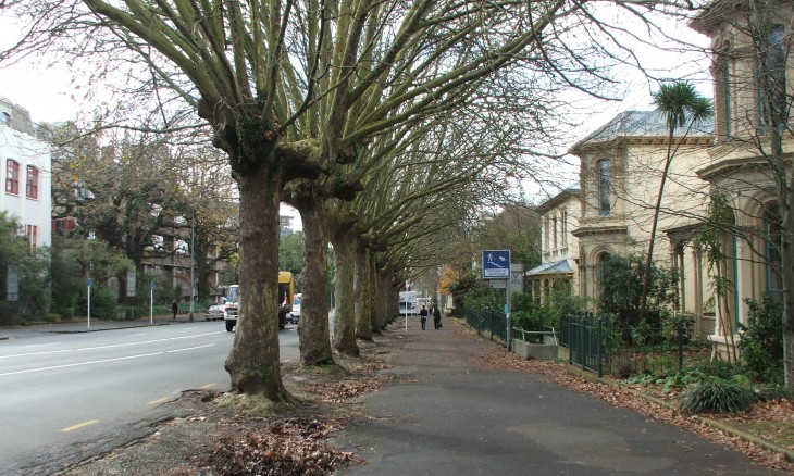 Symonds Street, Auckland, North Island