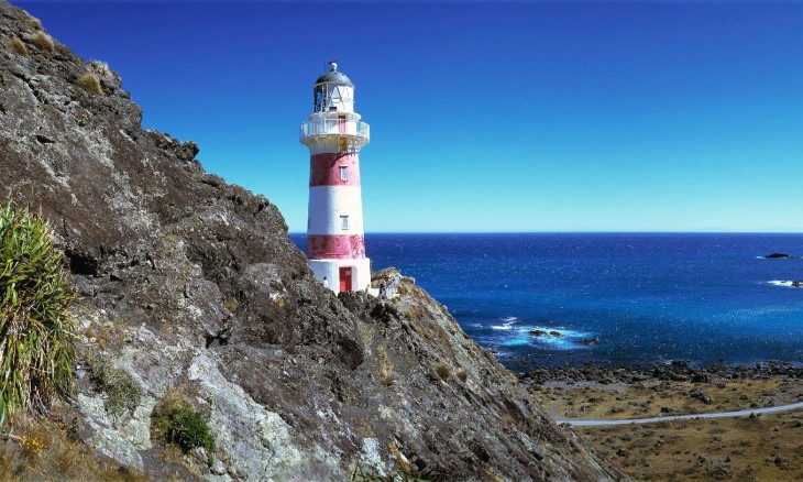 Cape Palliser, Wairarapa, North Island