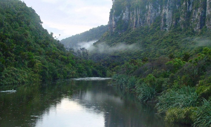 Porarari River near Punakaiki, West Coast, South Island