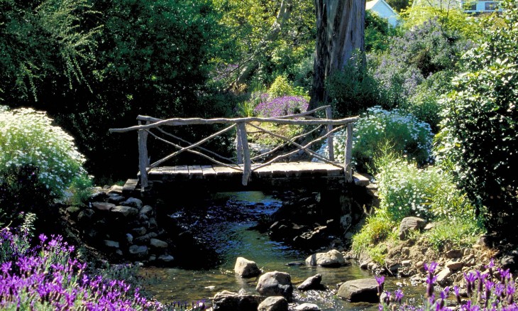 Garden in Banks Peninsula, Christchurch, South Island