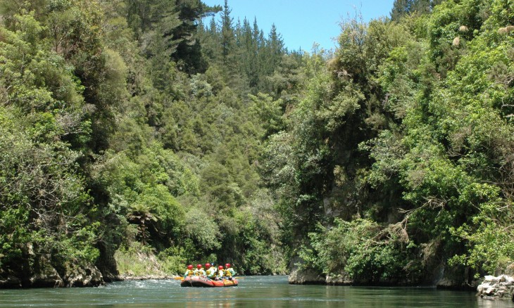 River near Rotorua, Bay of Plenty, North Island