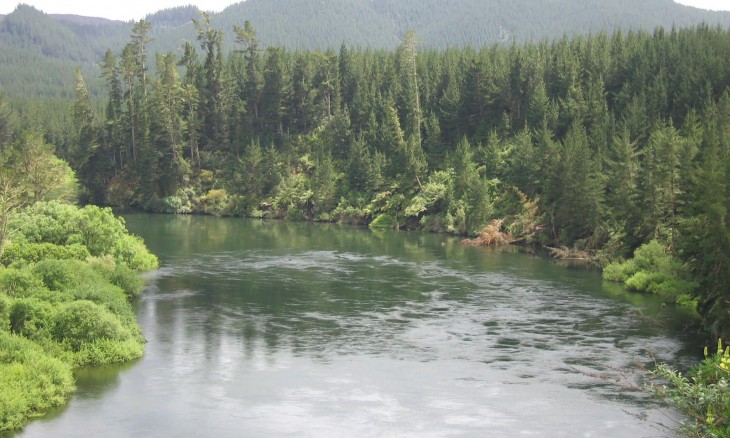 River near Rotorua, Bay of Plenty, North Island