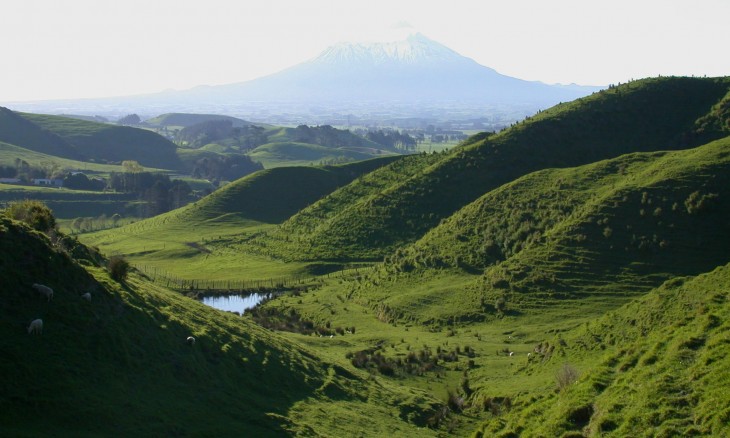 Fields near Eltham, Taranaki, North Island