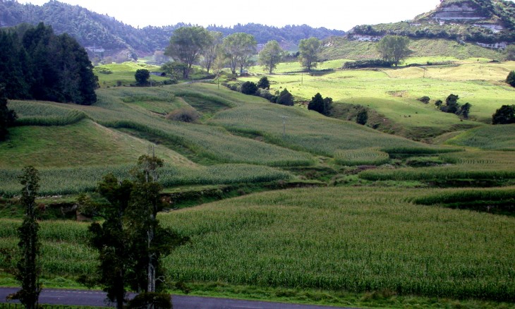 Uruti, Taranaki, North Island