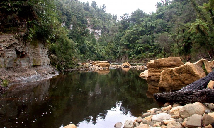 River near Urenui, Taranaki, North Island