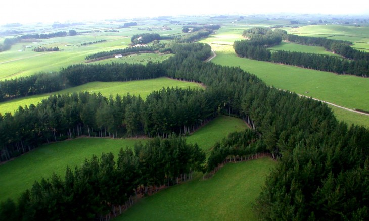 Farmland near Eltham, Taranaki, North Island