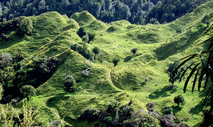 Uruti, Taranaki, North Island