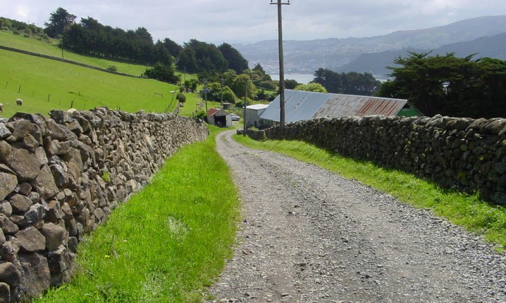 Otago Peninsula, Dunedin, South Island