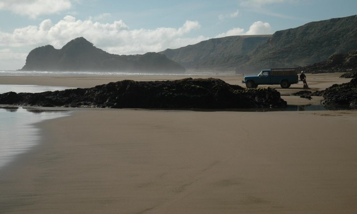 Bethells Beach, Auckland, North Island