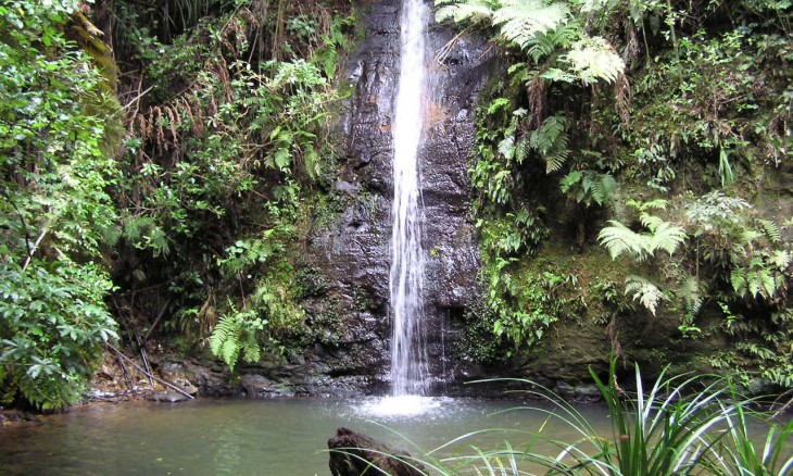 Waterfall near Auckland, North Island