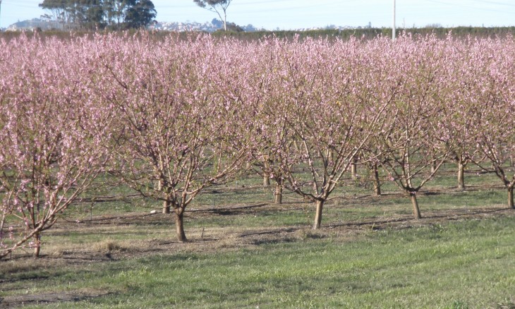 Esk Valley, Napier, North Island