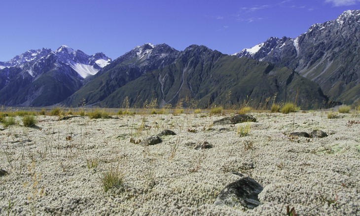 Aoraki/Mt Cook, Canterbury, South Island