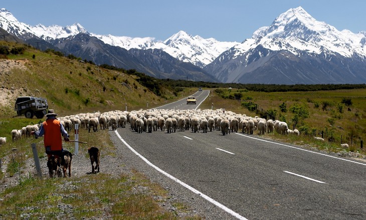 Aoraki/Mt Cook, Canterbury, South Island