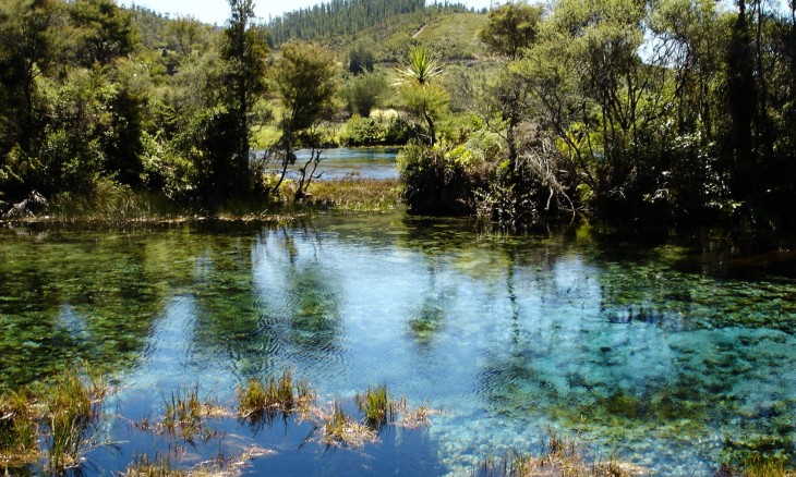 Pupu Springs, Takaka, South Island