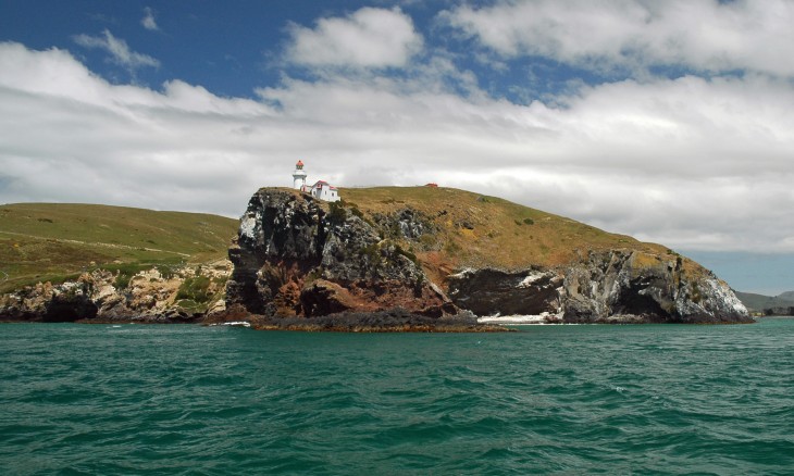 Taiaroa Head, Dunedin, South Island