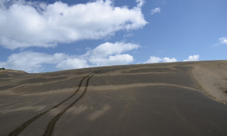 Giant sand dune, Bethells Beach, Auckland, North Island