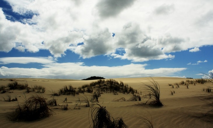 Ninety Mile Beach, Northland, North Island