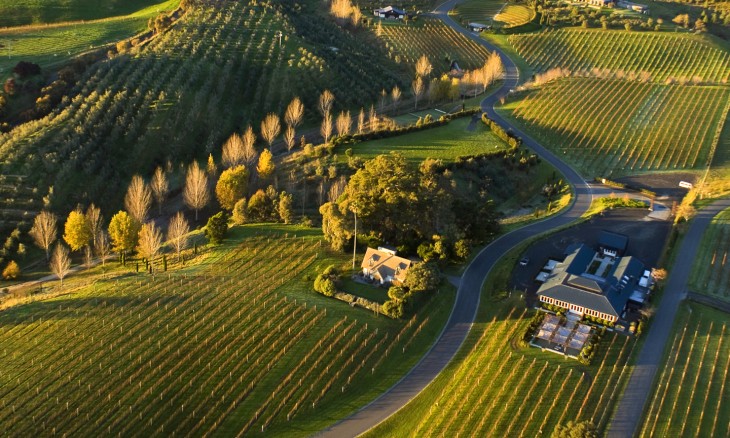 Black Barn Vineyard, Havelock North, North Island