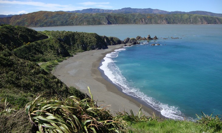 Breaker Bay, Wellington, North Island