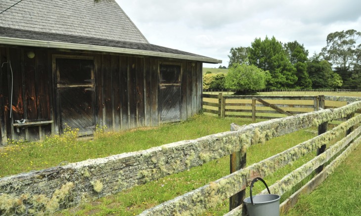 Farm near Brookby, Auckland, North Island