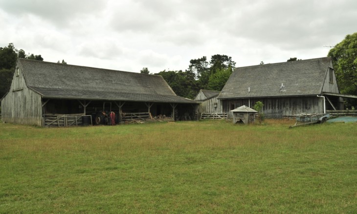 Farm near Brookby, Auckland, North Island