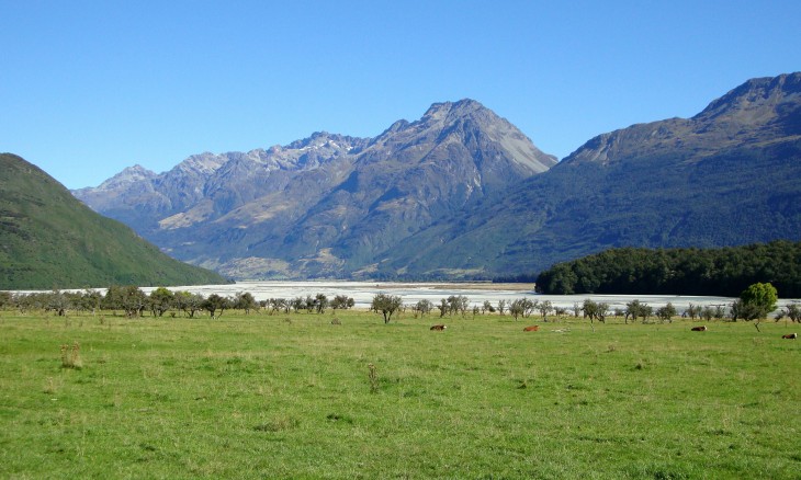 Dart River, Central Otago, South Island