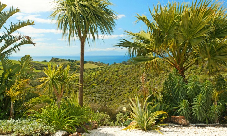 Delamore Lodge, Waiheke Island, Auckland, North Island