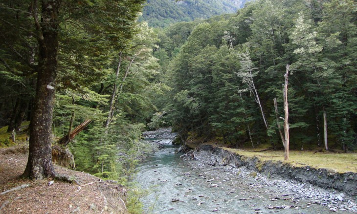 Earnslaw Burn, Glenorchy, Otago, South Island