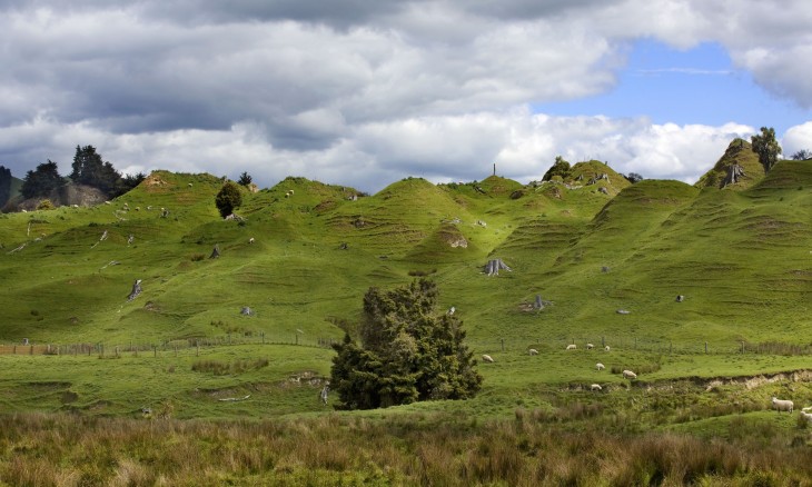 Farmland near Taihape, Manawatu-Wanganui, North Island