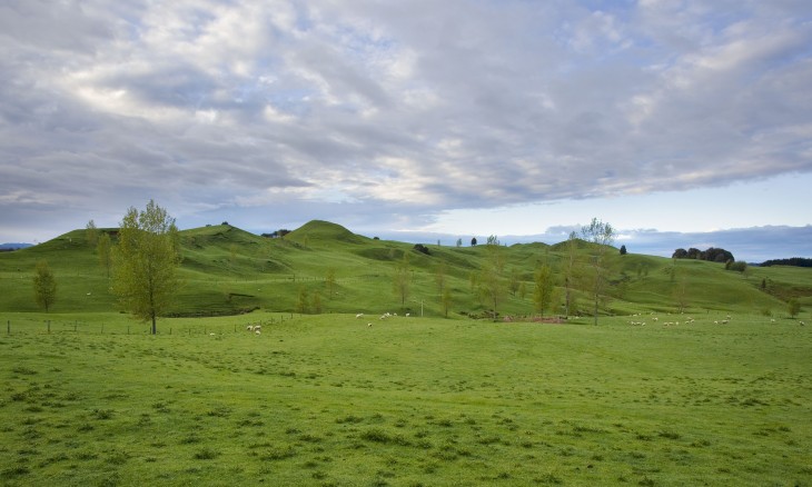 Farmland near Te Kuiti, Waikato, North Island