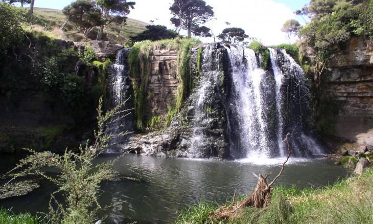 Muriwai Downs Farm, Auckland, North Island