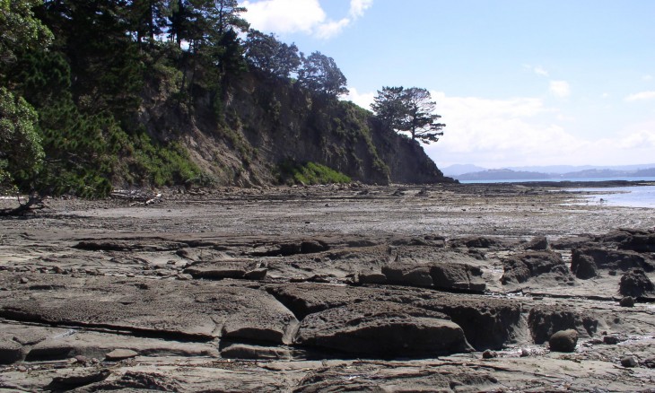 Scandretts Bay, Mahurangi East, Auckland, North Island