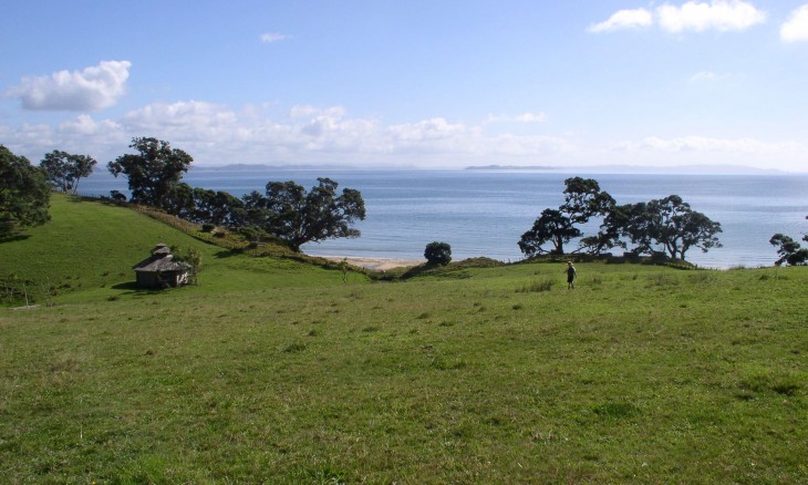 Whangaparoa Peninsula, Auckland, North Island