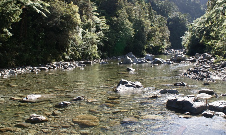 Kaitoke River, Wellington, North Island