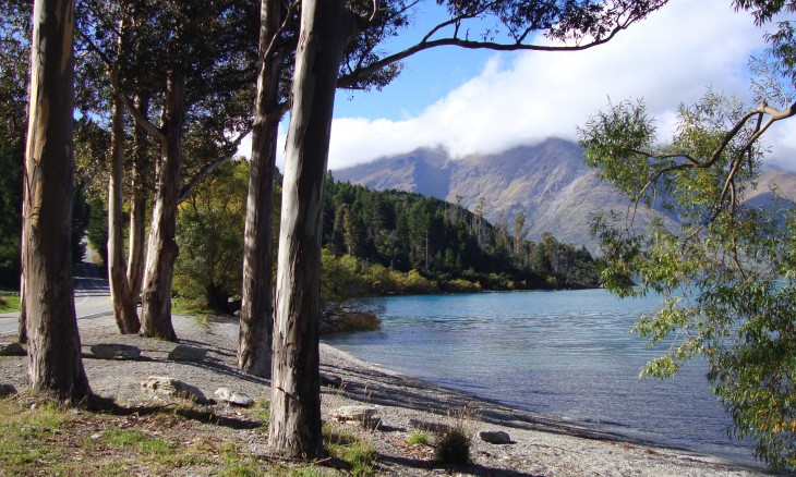 Lake Wakatipu, Otago, South Island