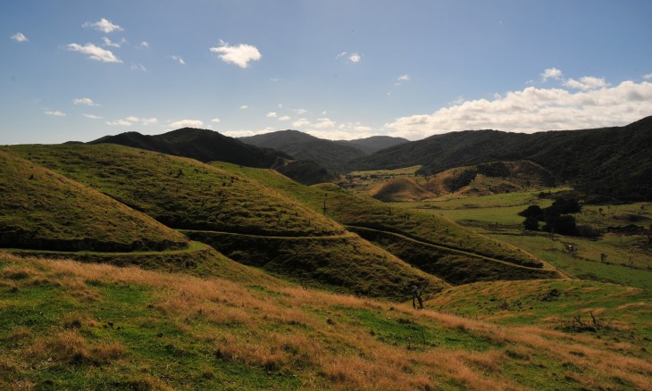 Gollans Farm, Wellington, North Island