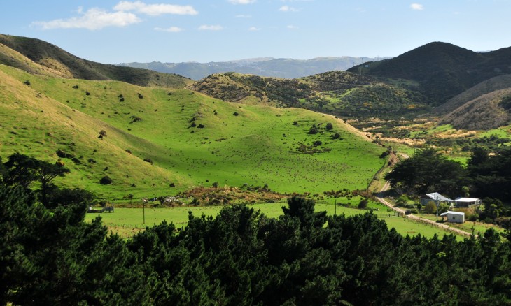 Gollans Farm, Wellington, North Island