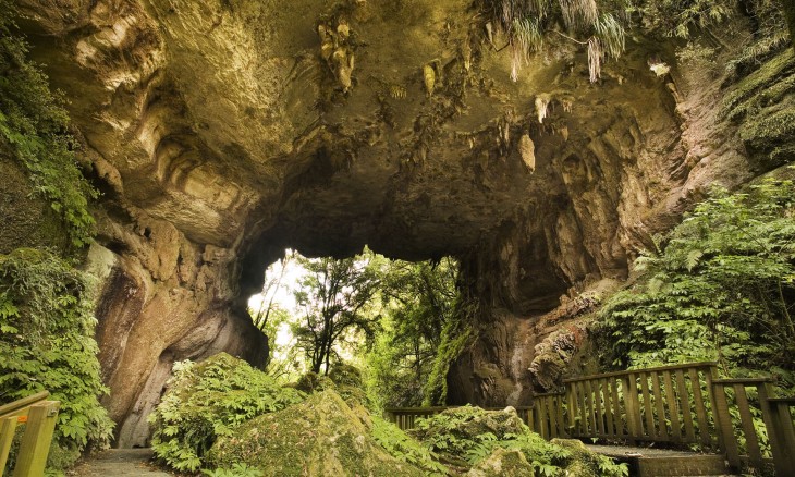 Mangapohue Limestone arch, Waitomo, North Island