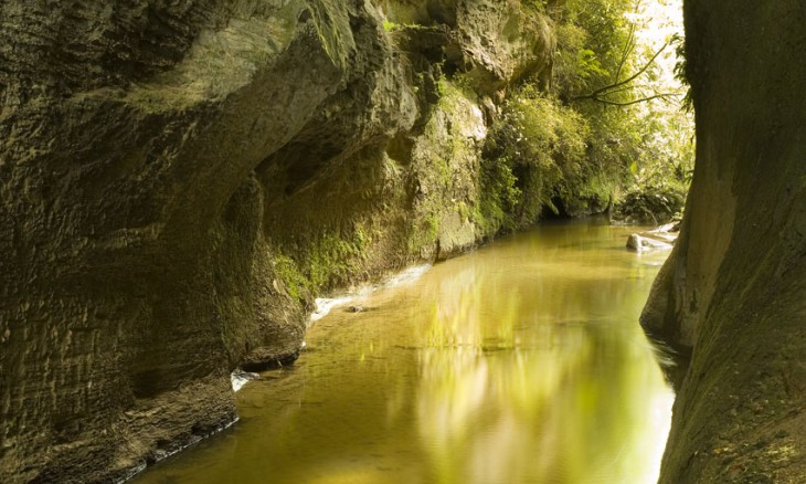 Mangapohue Limestone, Waitomo, North Island