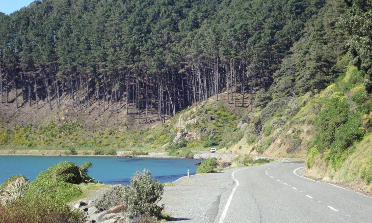 Miramar Peninsula, Wellington, North Island