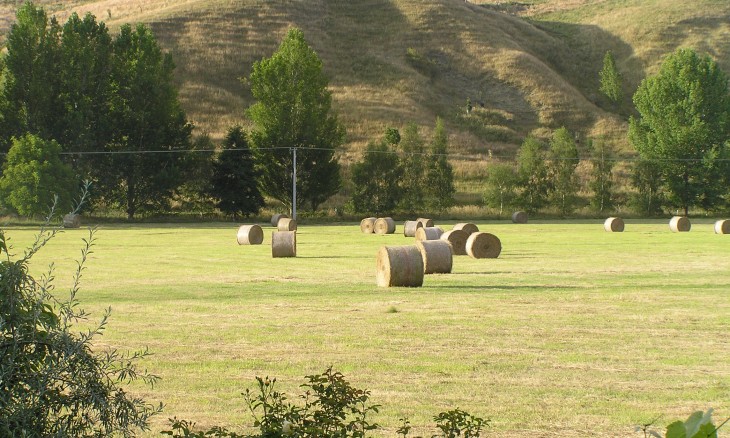 Patangata, Hawke's Bay, North Island