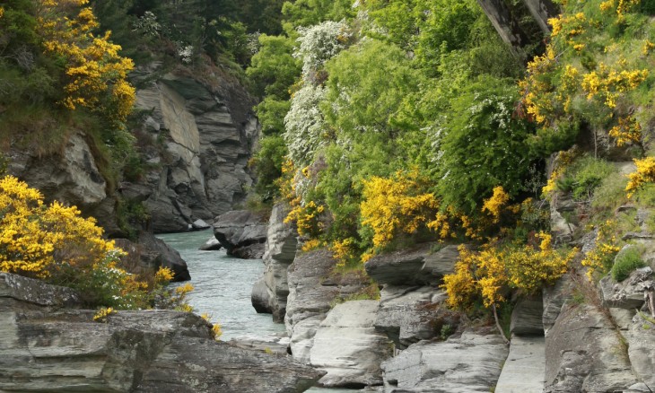 Shotover River, Queenstown, South Island