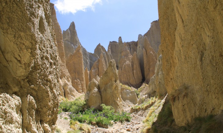 Clay Cliffs, Omarama, South Island