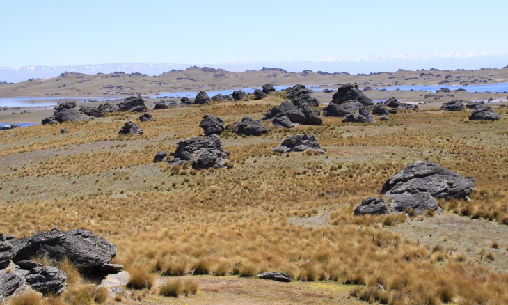 Poolburn Reservoir, Otago, South Island