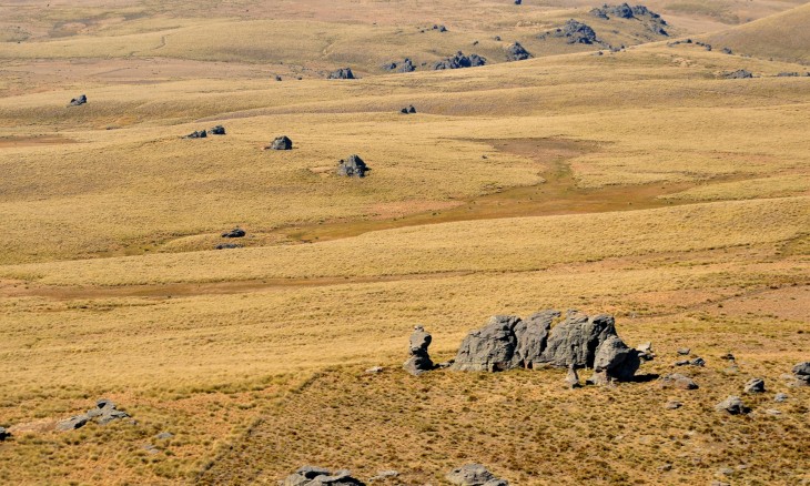 Rock and Pillar Range, Otago, South Island