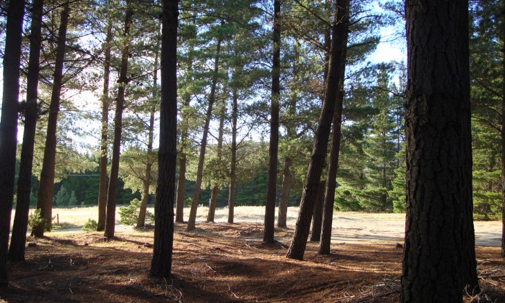 Sandflat Road, Cromwell, South Island