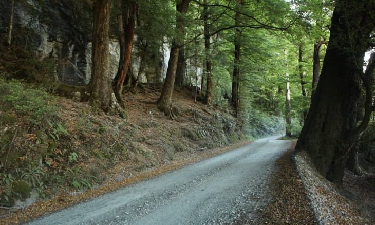 Glenorchy-Paradise Rd, Glenorchy, South Island