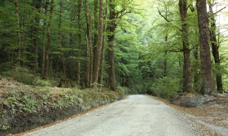 Glenorchy-Paradise Rd, Glenorchy, South Island